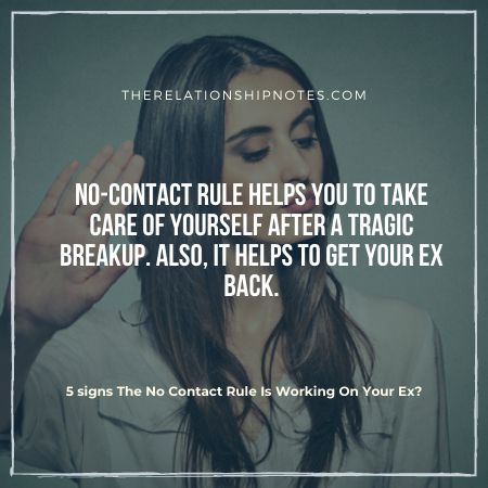 5 signs The No Contact Rule Is Working