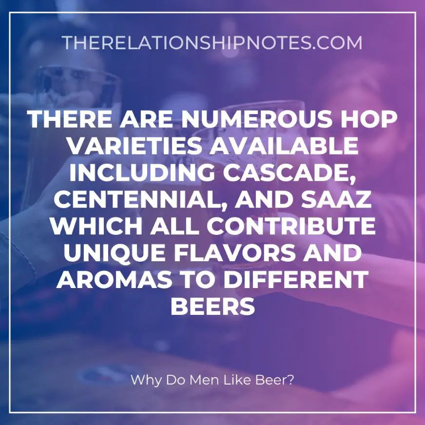 The Role Of Hops In Beer Flavor